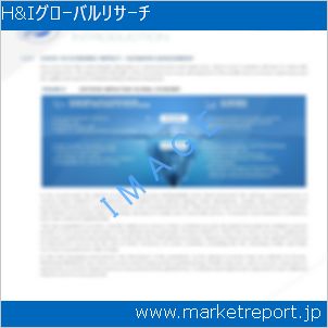 市場と産業調査レポートのイメージ